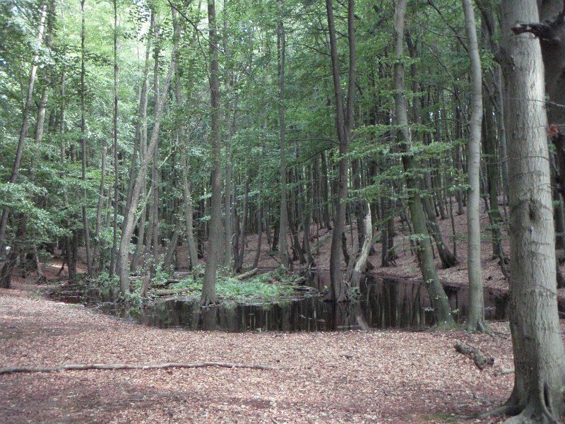 Radtour Ruegen 206
